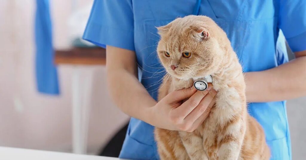 Urgent Care